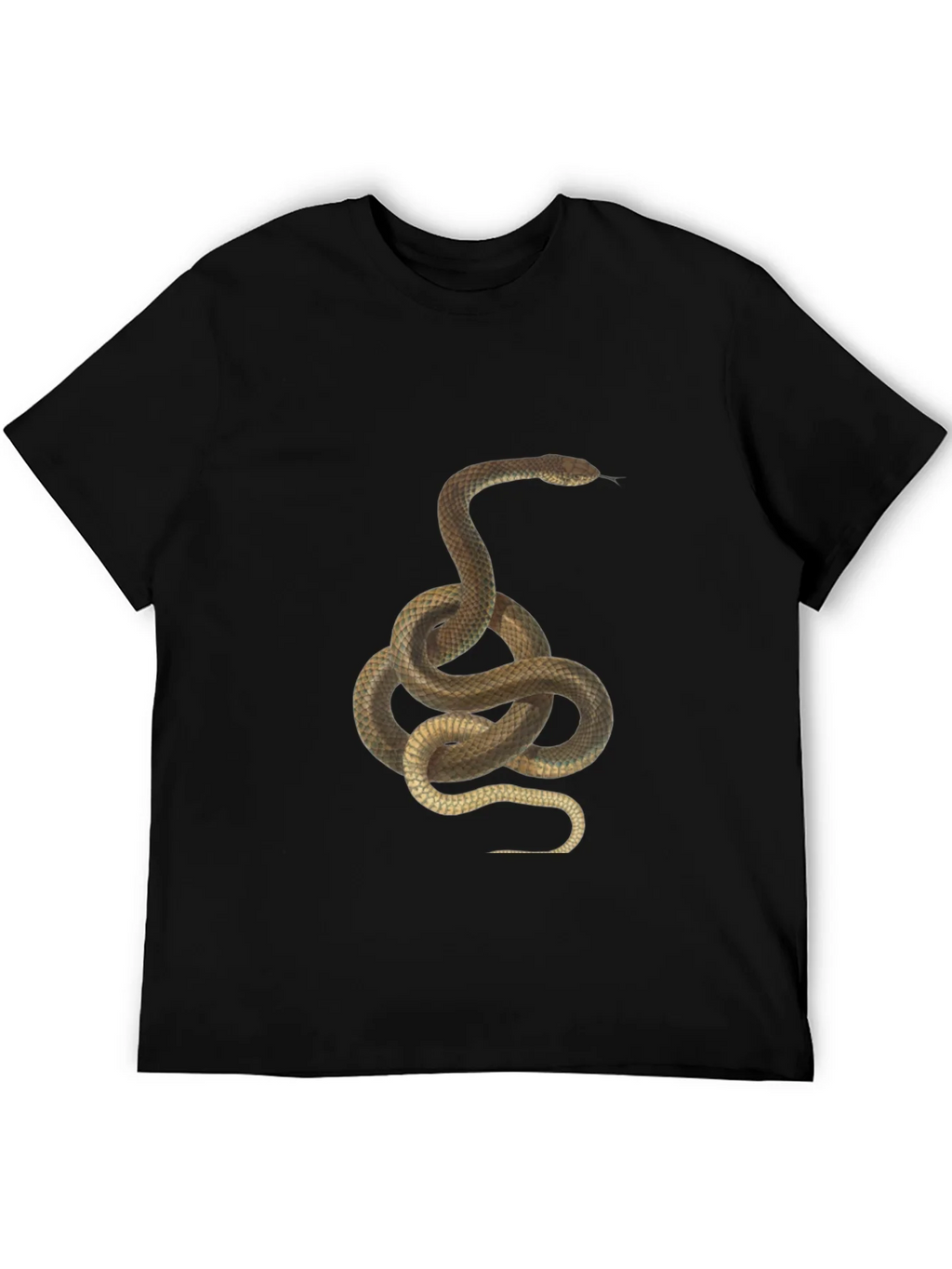 Snake Graphic Tee - Black Cotton T-Shirt
