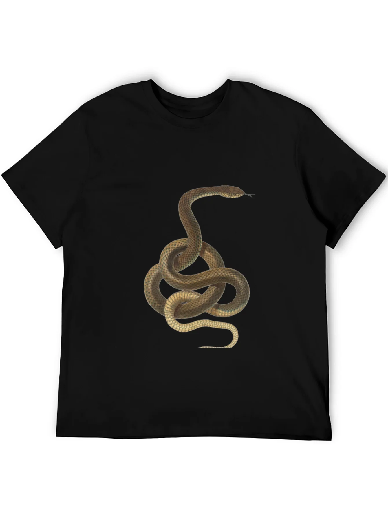 Snake Graphic Tee - Black Cotton T-Shirt