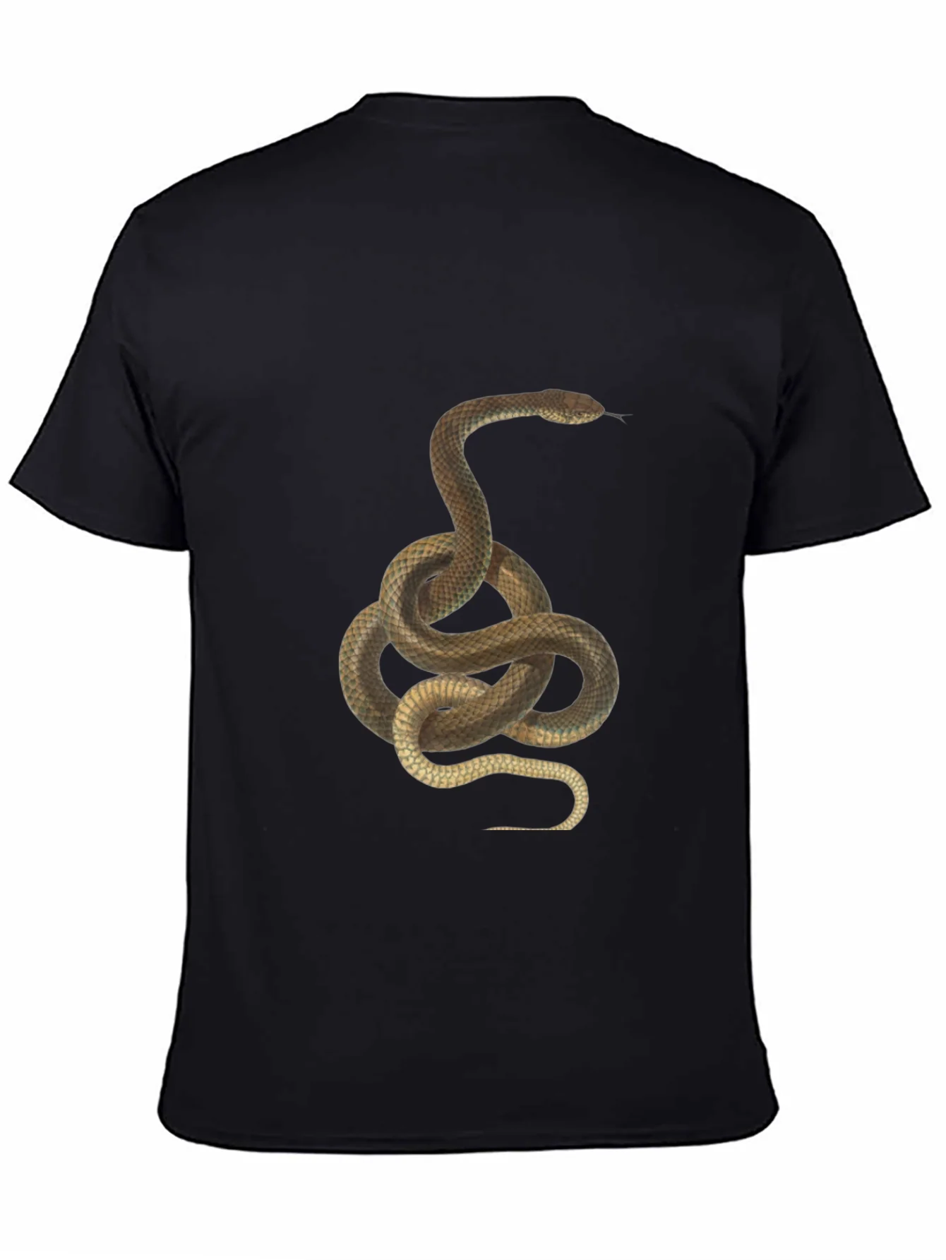 Snake Graphic Tee - Black Cotton T-Shirt