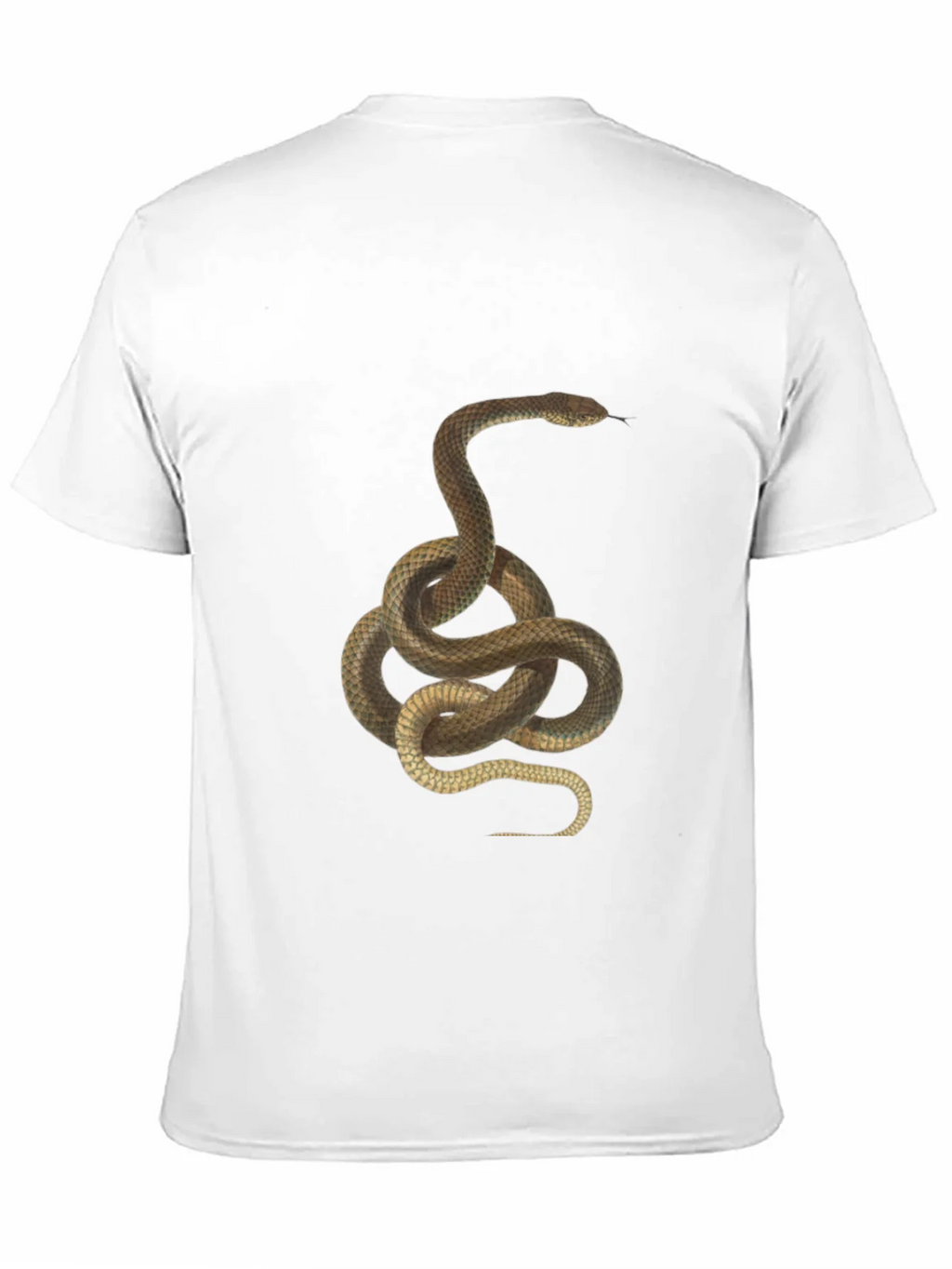 Snake Graphic Tee - Black Cotton T-Shirt