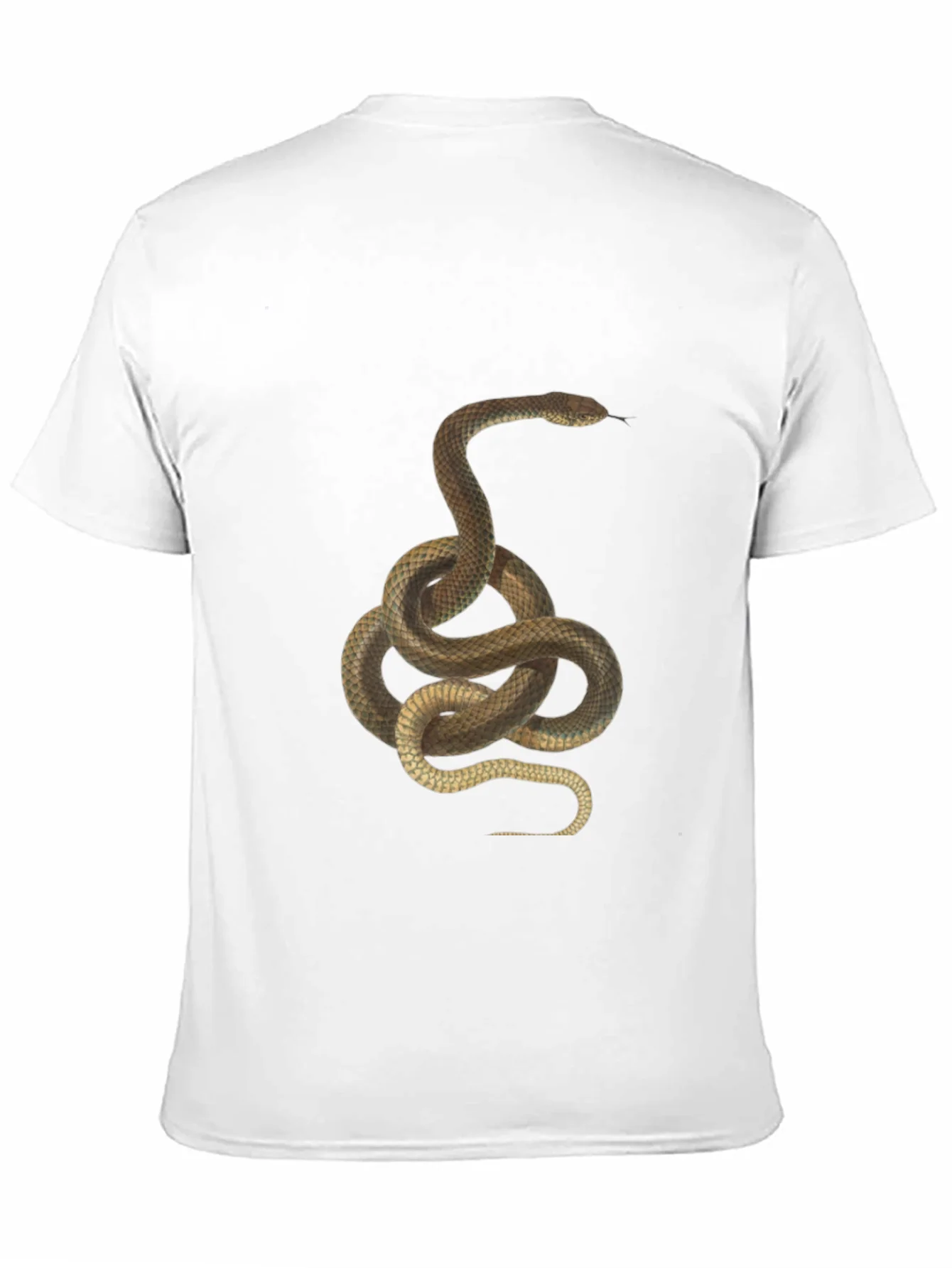 Snake Graphic Tee - Black Cotton T-Shirt