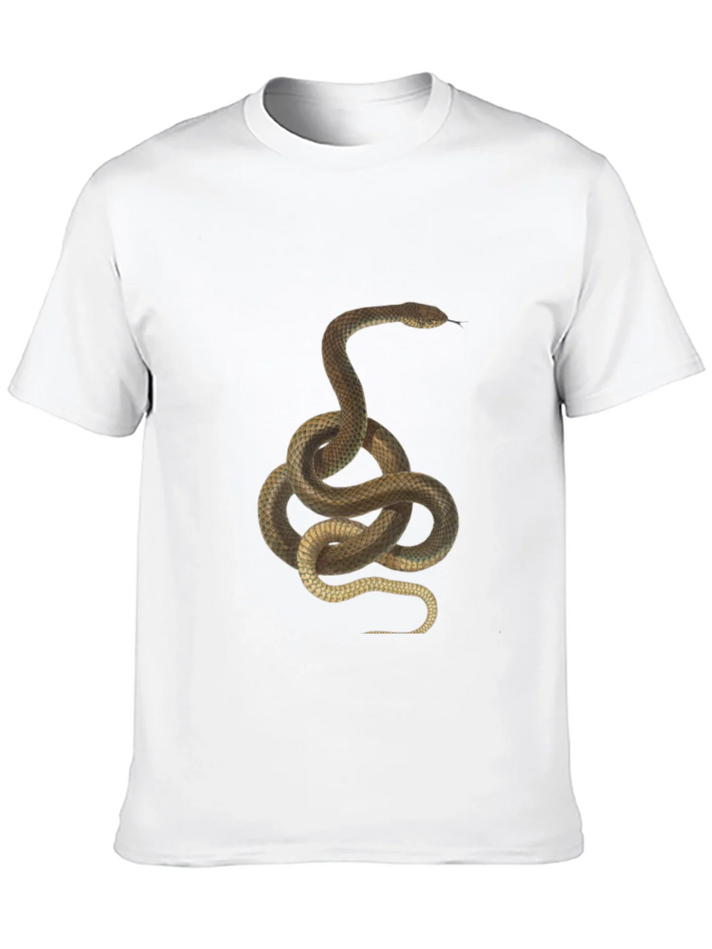 Snake Graphic Tee - Black Cotton T-Shirt
