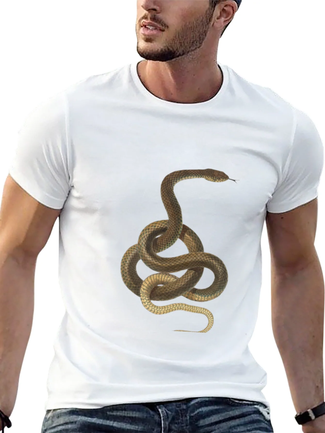 Snake Graphic Tee - Black Cotton T-Shirt