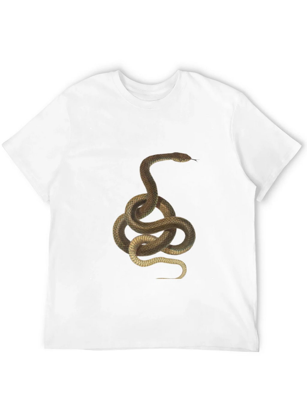 Snake Graphic Tee - Black Cotton T-Shirt