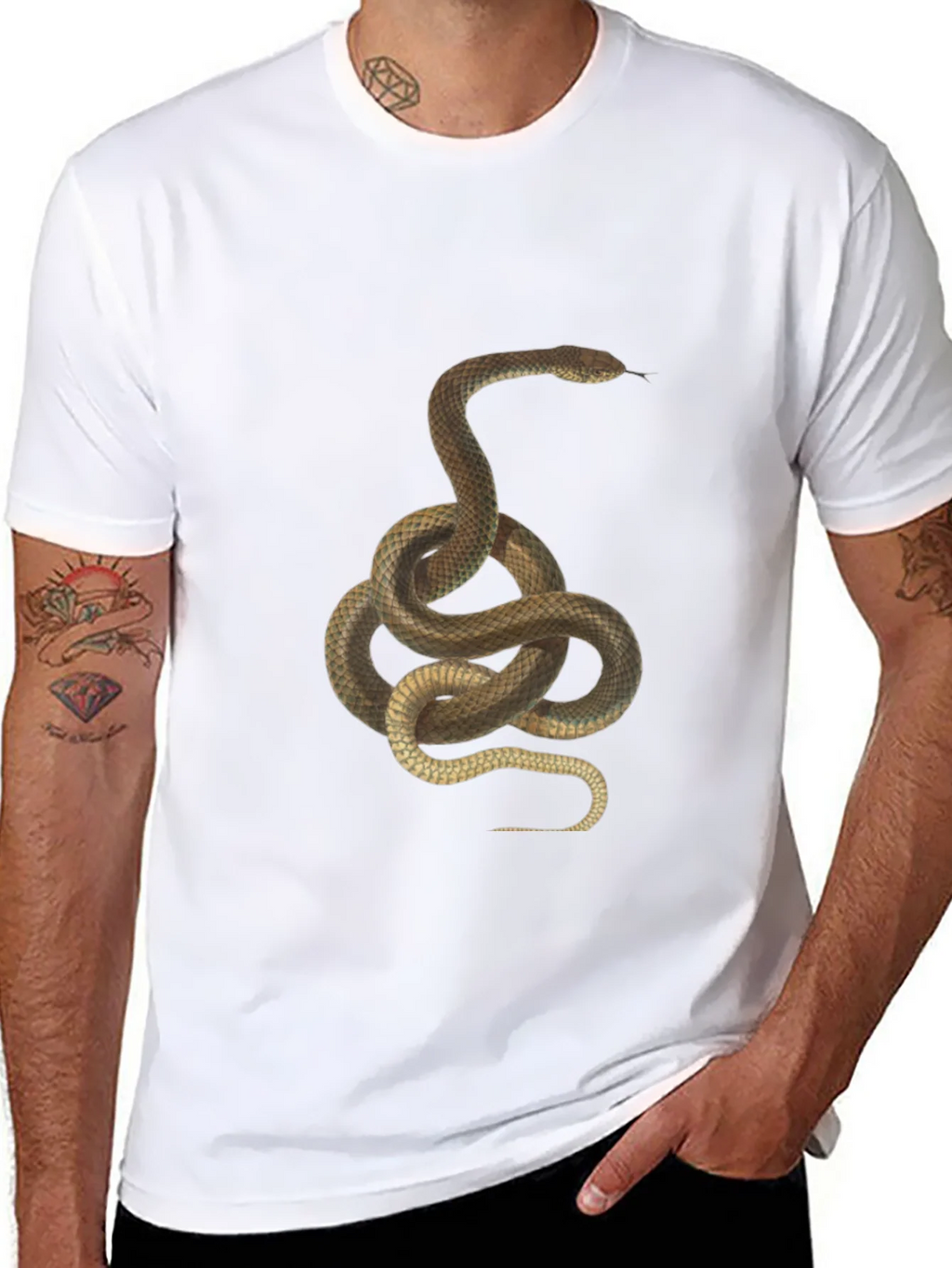 Snake Graphic Tee - Black Cotton T-Shirt