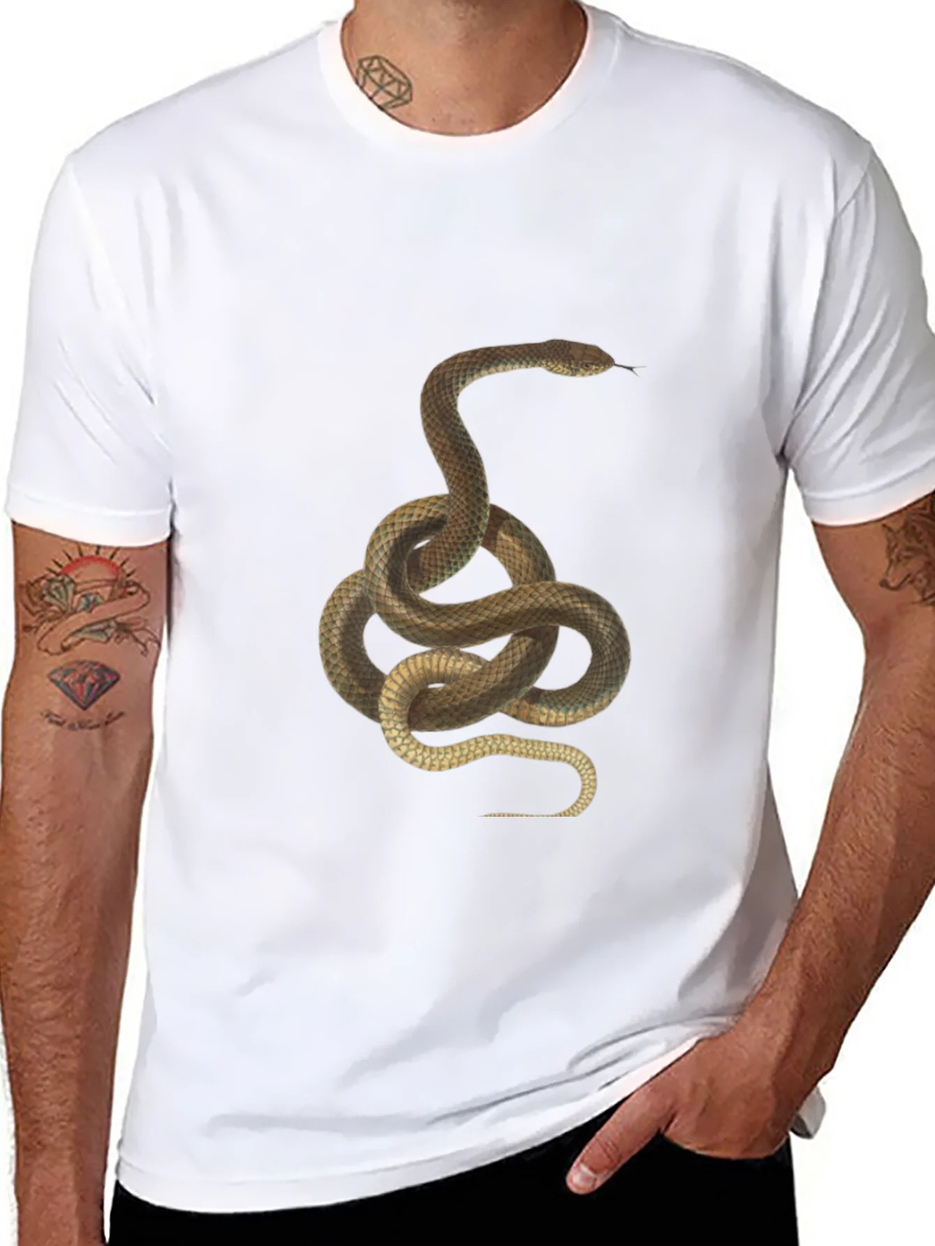Snake Graphic Tee - Black Cotton T-Shirt